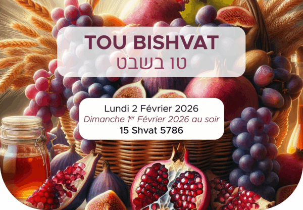 CALENDRIERS 2025-2026 – Image 2