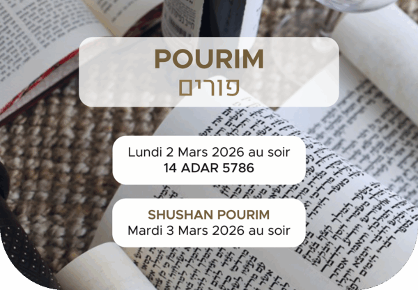 CALENDRIERS 2025-2026 – Image 4